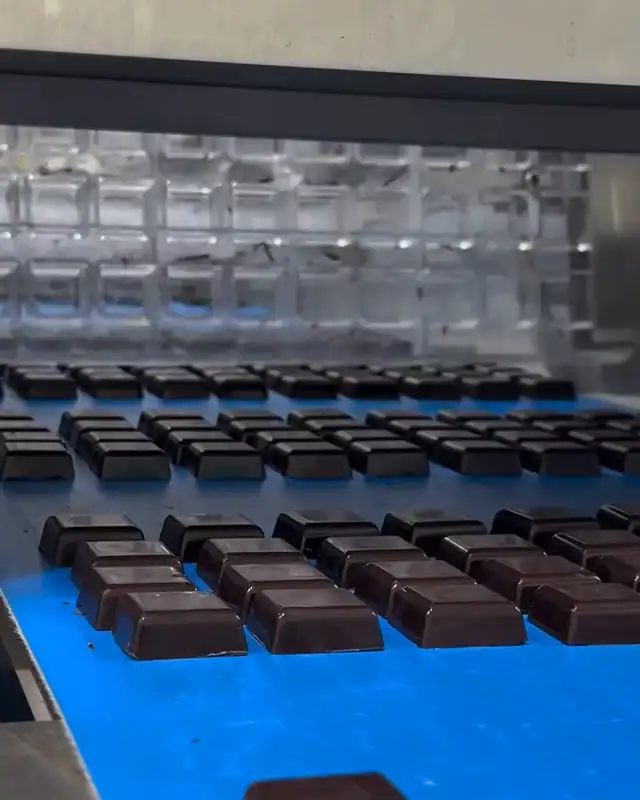 Chocolate bars leaving the production line on a blue belt